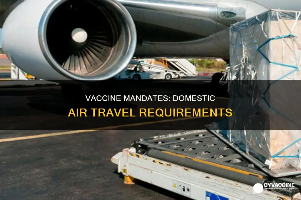 do you have to have a vaccine to fly domestic