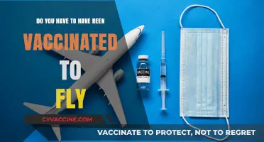 Vaccination Requirements for Air Travel: What You Need to Know