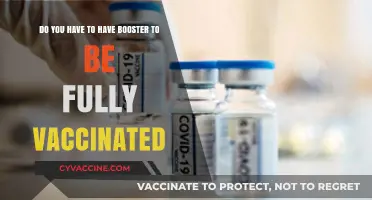 The Booster Question: What Counts as Fully Vaccinated?