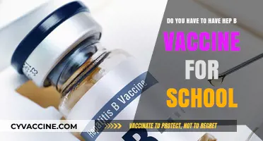 Hep B Vaccine: A School Entry Requirement?