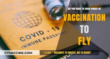Air Travel and Vaccine Passports: What You Need to Know