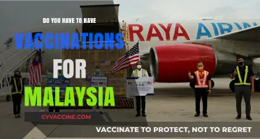 Vaccinations for Malaysia: What You Need to Know