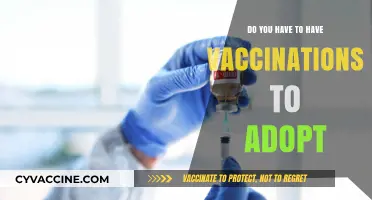 Vaccinations: A Requirement for Adoption