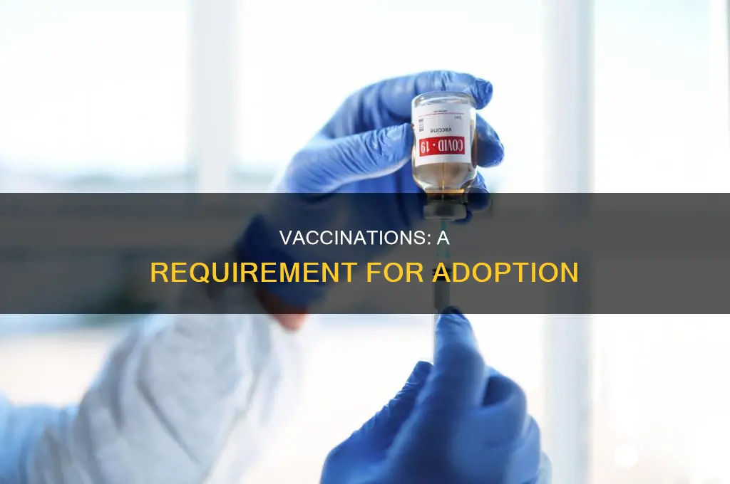 do you have to have vaccinations to adopt