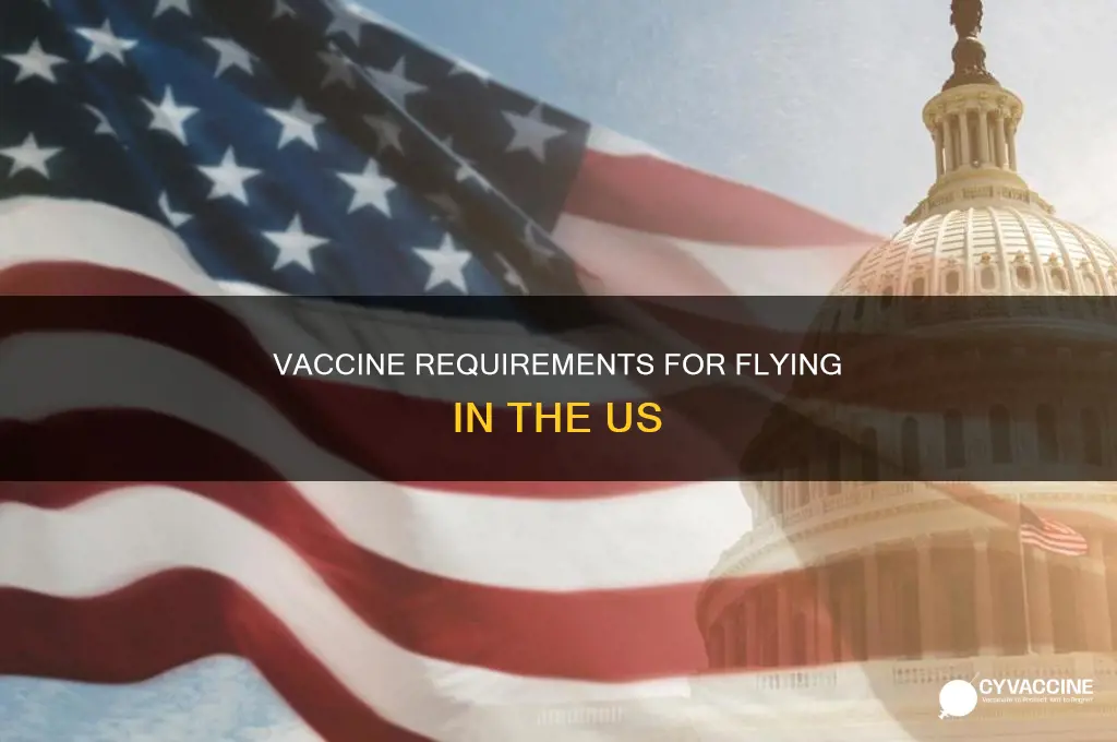 do you have to have vaccine to fly in us