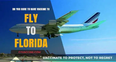 Vaccine Requirements for Flying to Florida Explained