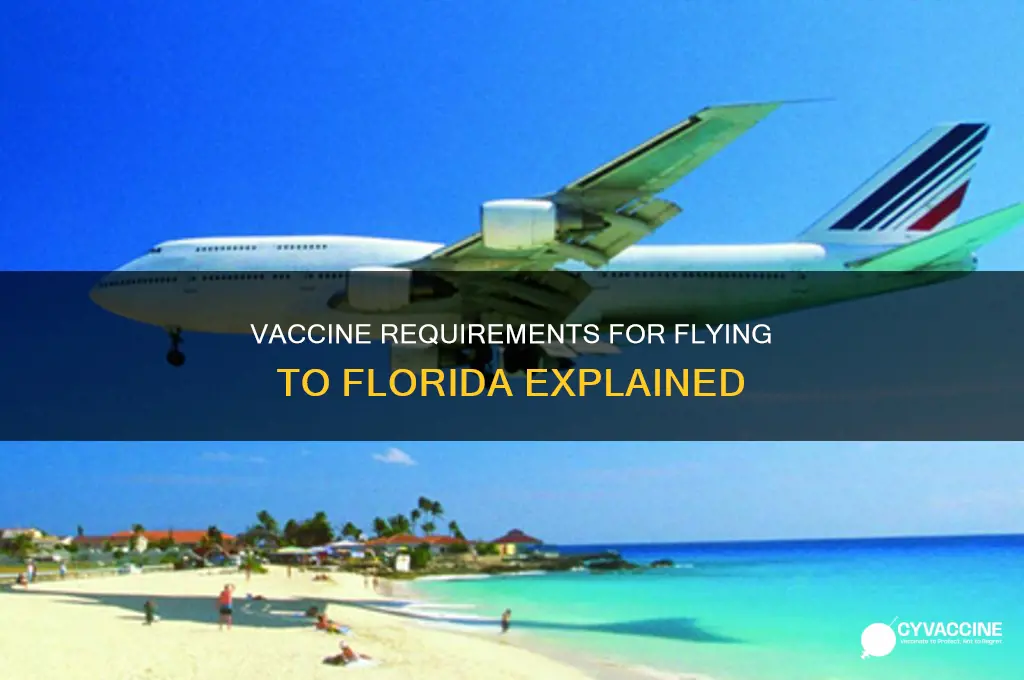 do you have to have vaccine to fly to florida