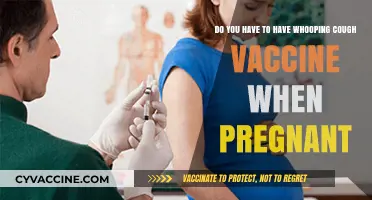 Pregnant and Whooping Cough Vaccine: What You Need to Know