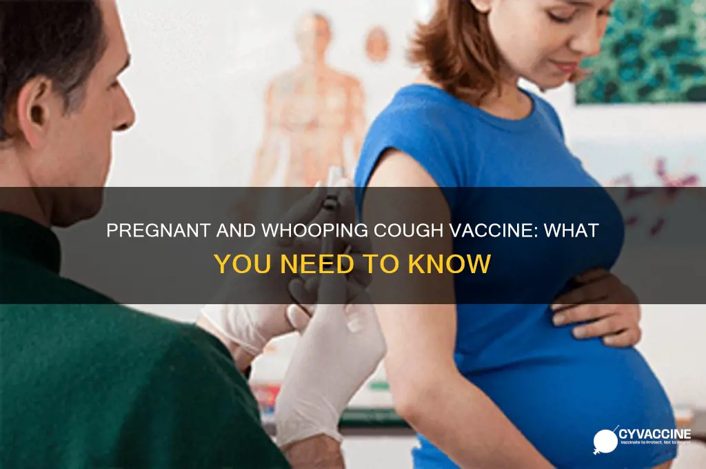 do you have to have whooping cough vaccine when pregnant