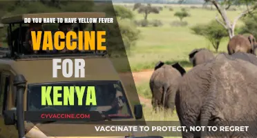 Yellow Fever Vaccine: Essential for Kenya Travel?