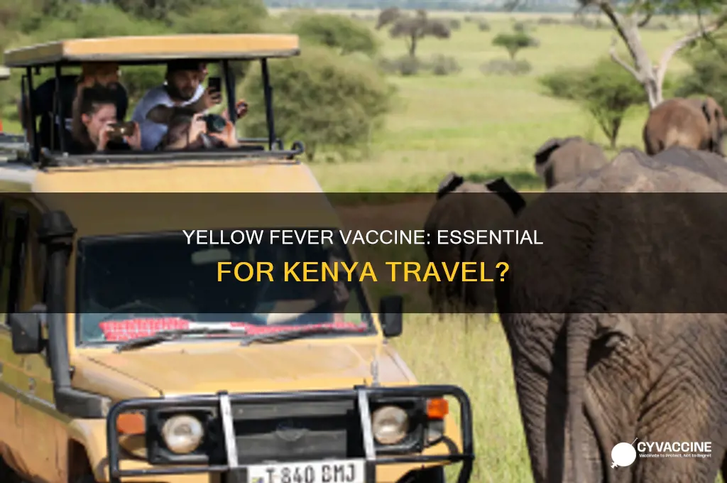 do you have to have yellow fever vaccine for kenya