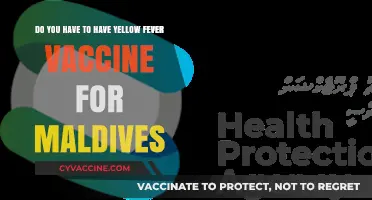 Maldives Travel: Is Yellow Fever Vaccine Necessary?