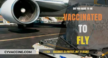 Flying Soon? Vaccine Requirements for Air Travel