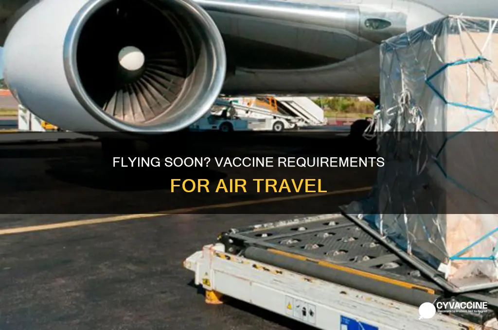 do you have to he vaccinated to fly
