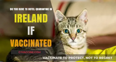 Vaccinated Travellers: Hotel Quarantine in Ireland?