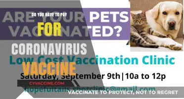 Coronavirus Vaccine: Who Pays for Protection?