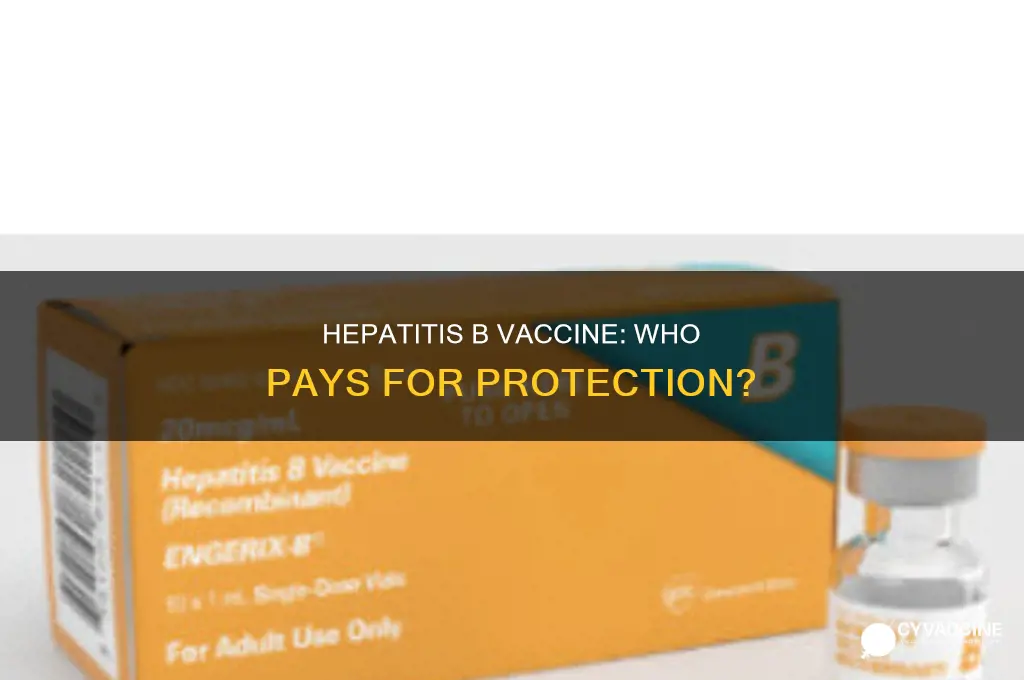 do you have to pay for hepatitis b vaccine