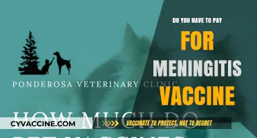 Meningitis Vaccine: What's the Cost and Who Pays?