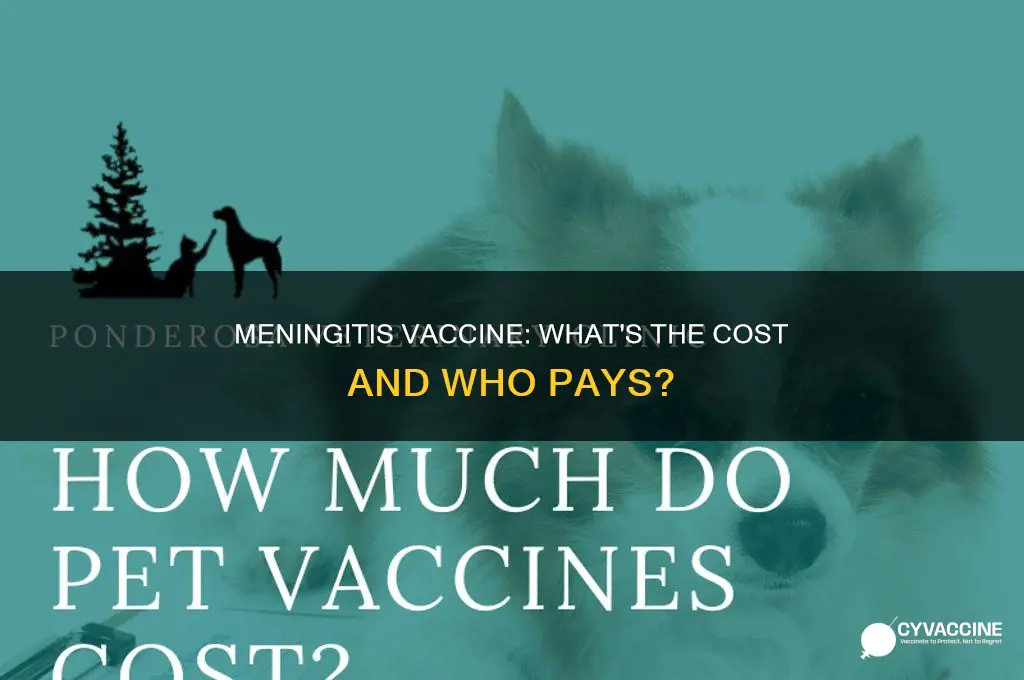 do you have to pay for meningitis vaccine