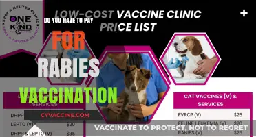 Rabies Vaccination: Is It Free or Fee-Based?