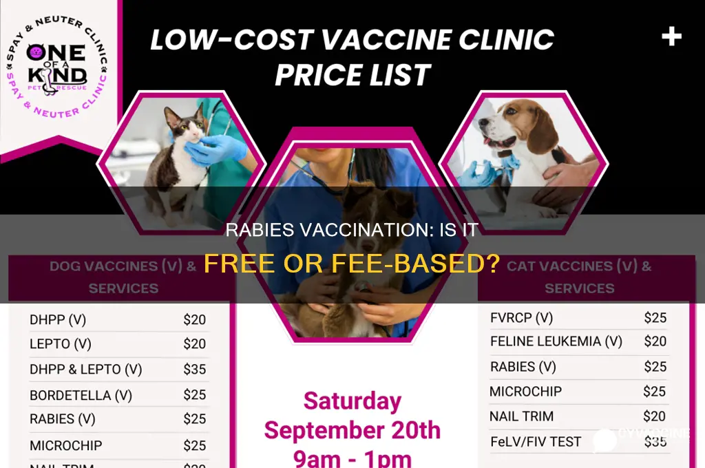 do you have to pay for rabies vaccination