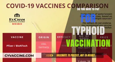 Typhoid Vaccination: What's the Cost and Where to Get It?