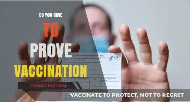 Proving Vaccination: Legal Requirements, Privacy Concerns, and Practical Implications