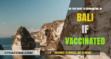 Vaccinated Travellers: Do You Need to Quarantine in Bali?