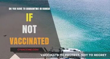 Hawaii Quarantine Rules: Unvaccinated Travellers