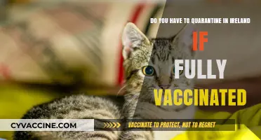Traveling to Ireland: Quarantine Rules for Vaccinated People