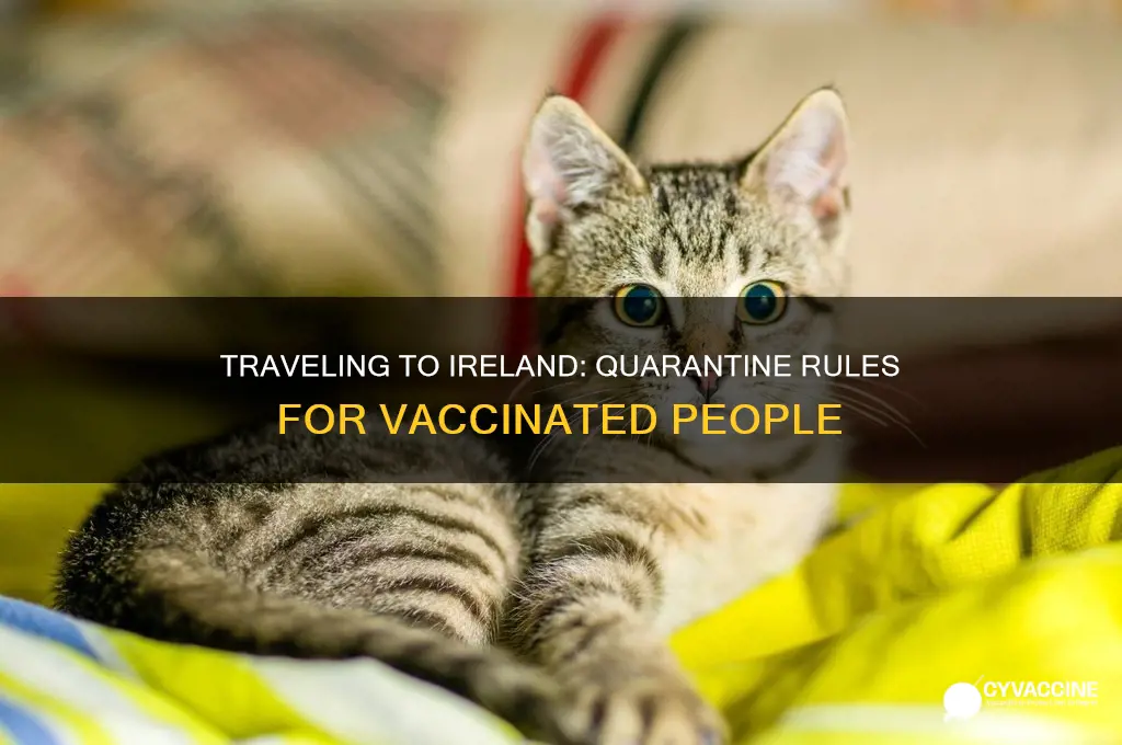 do you have to quarantine in ireland if fully vaccinated