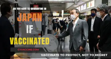 Japan's Quarantine Rules for Vaccinated Travelers Explained