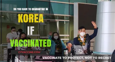 Vaccinated Travelers: Quarantine-Free Entry to Korea