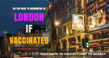 London Quarantine Rules: Vaccinated Travellers' Update