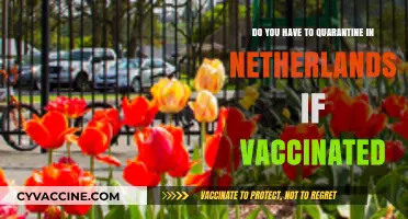 Traveling to the Netherlands: Quarantine Rules for the Vaccinated