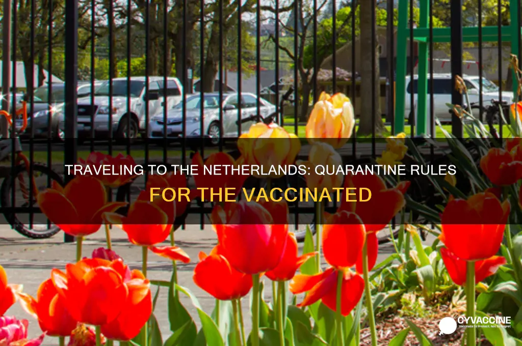 do you have to quarantine in netherlands if vaccinated