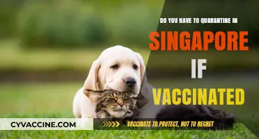 Vaccinated and Traveling to Singapore? Quarantine Rules Explained