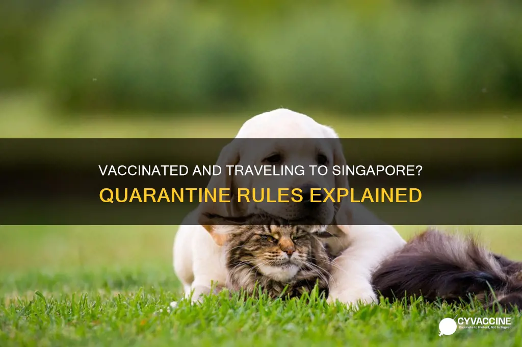 do you have to quarantine in singapore if vaccinated