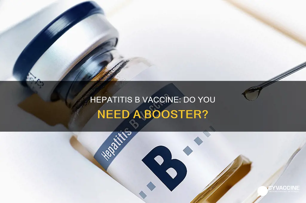 do you have to renew the hepatitis b vaccine