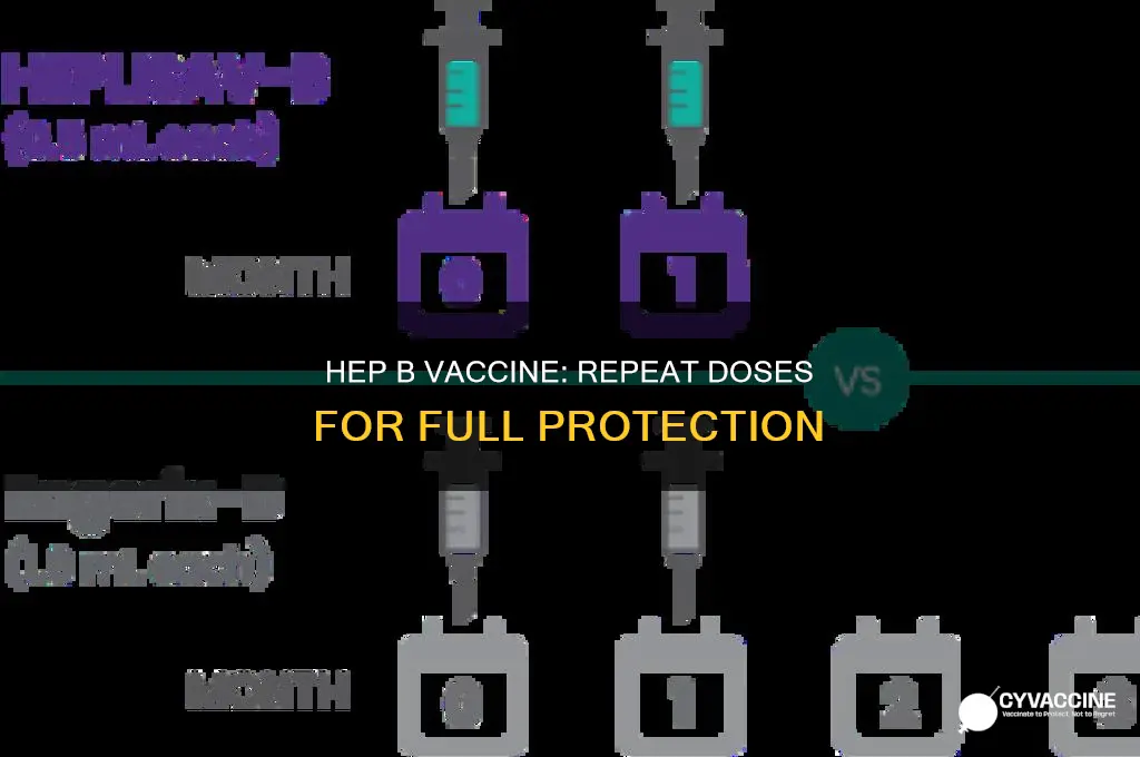 do you have to repeat hep b vaccine