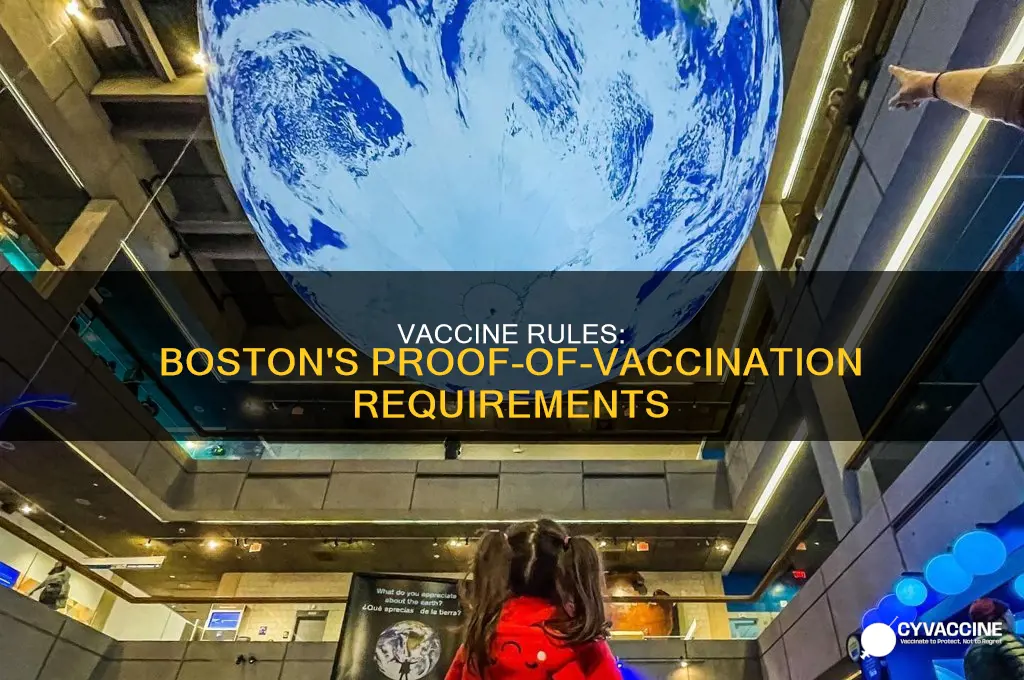 do you have to show proof of vaccination in boston