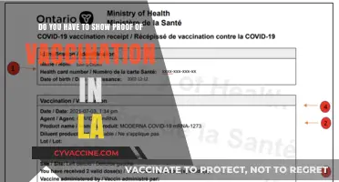 Vaccine Rules in LA: Proof or No Entry?