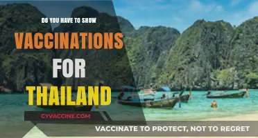Vaccination Requirements for Thailand: What You Need to Know