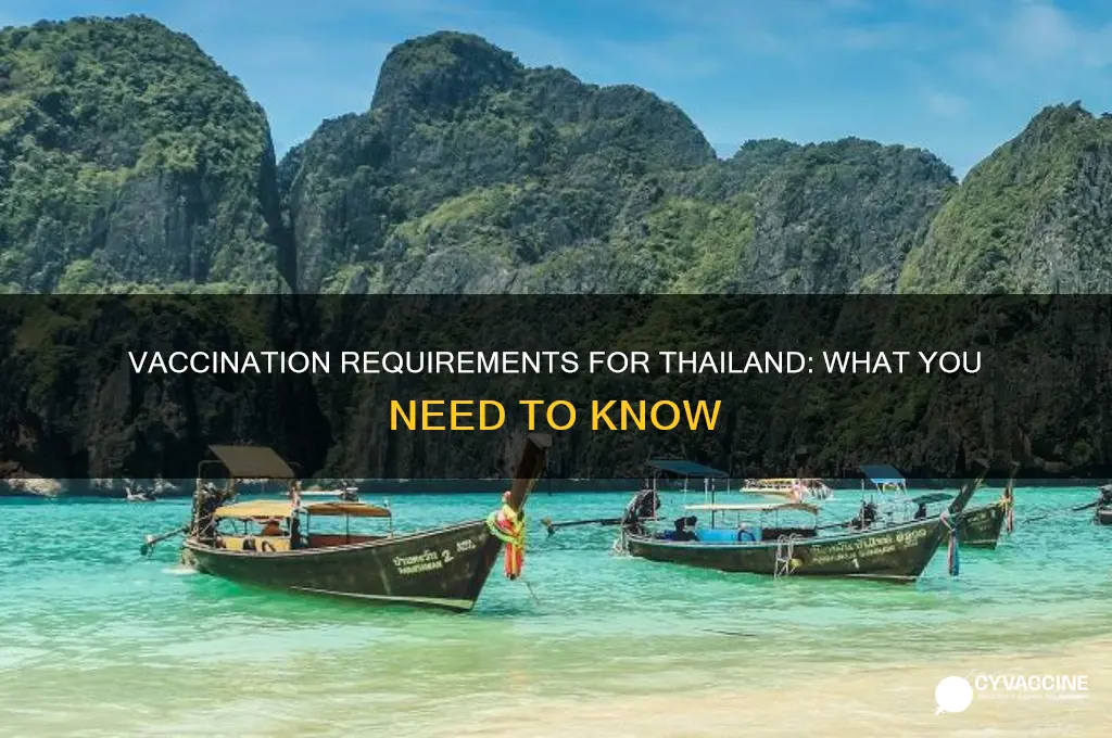 do you have to show vaccinations for thailand