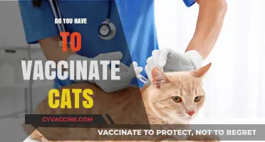 Should You Vaccinate Your Cat? Essential Health Considerations for Pet Owners