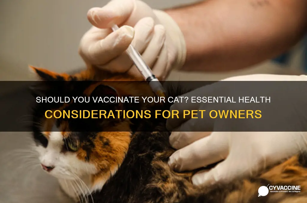 do you have to vaccinate cats