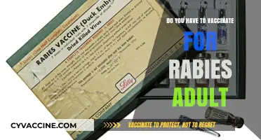 Rabies Vaccination: Adult Immunization Requirements and Recommendations