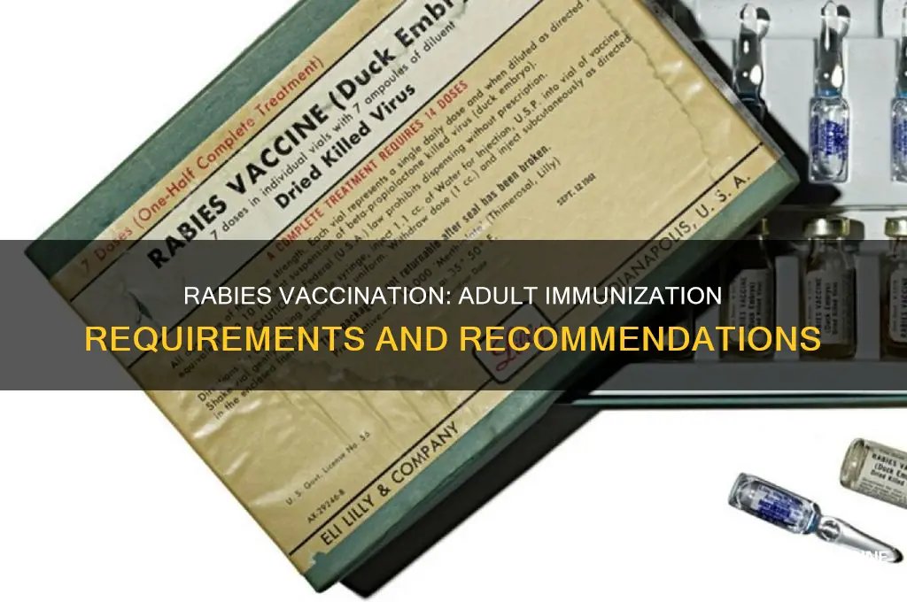 do you have to vaccinate for rabies adult