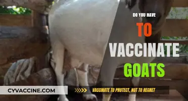 Should You Vaccinate Your Goats? Essential Health Tips for Goat Owners