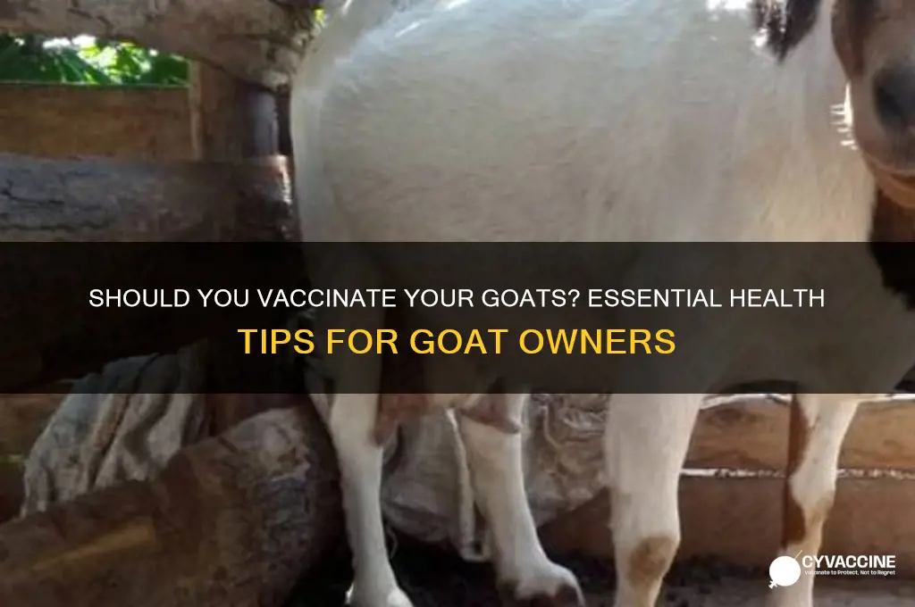 do you have to vaccinate goats